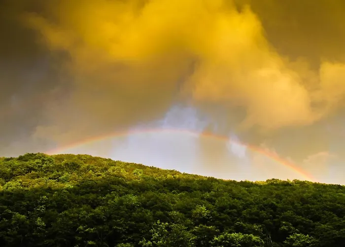 Fellow Du Nord Goebelsmuhle